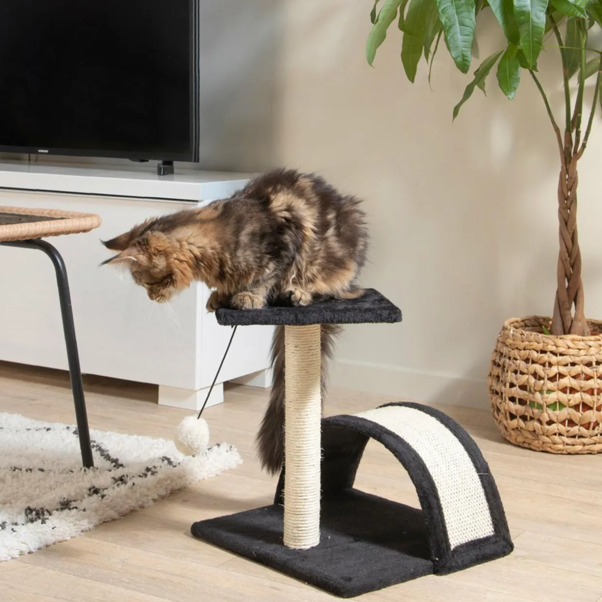 Arbre à chat avec jouet et tunnel Anthracite
