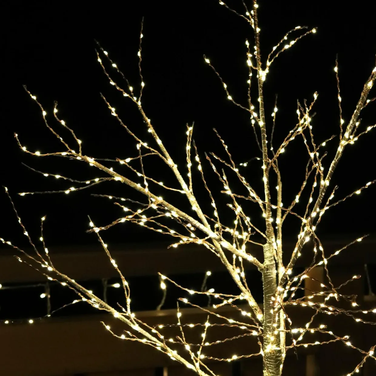 Arbre lumineux 600 LED (H180 cm) Bouleau Betula Blanc chaud