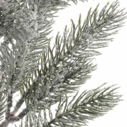 Branche de sapin (65 m) Santa Vert enneigé