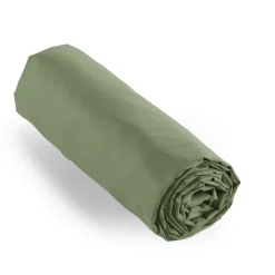 Drap housse percale de coton (200 x 200 cm) Cali Vert romarin