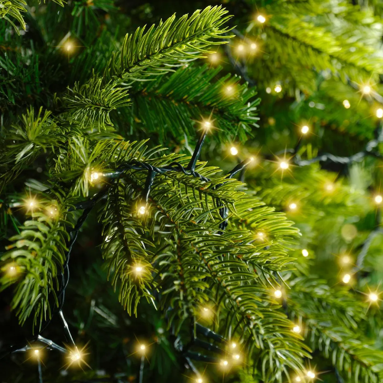 Guirlande lumineuse 60 m 3000 LED câble vert Luxe Blanc chaud Champagne