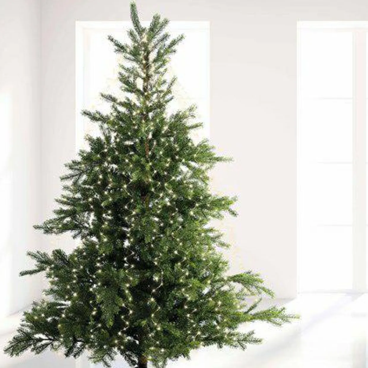 Guirlande rideau pour sapin H2,40 m 832 Micro LED câble argent Blanc froid