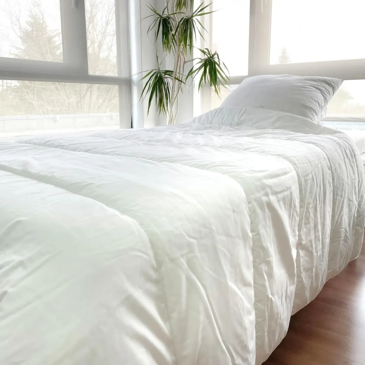 Lot Couette chaude anti-acariens (140 x 200 cm) + 1 Oreiller (60 x 60 cm) Comète Blanche