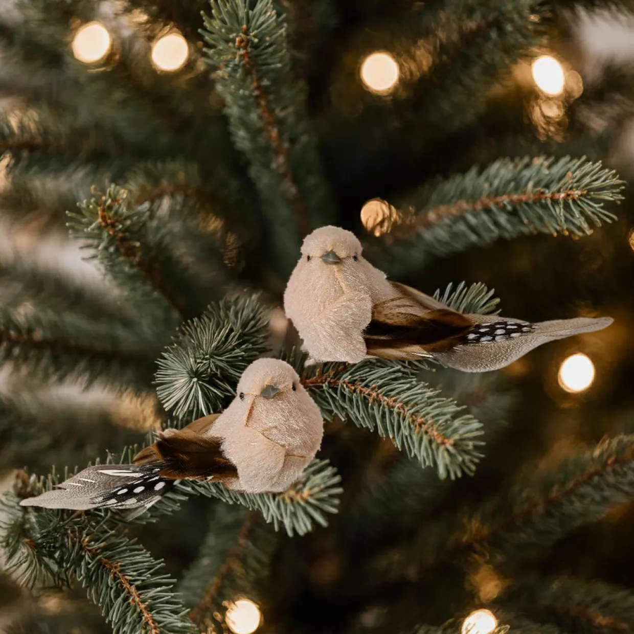 Lot de 2 Oiseaux sur pince (L12 cm) Plume nature Marron et crème