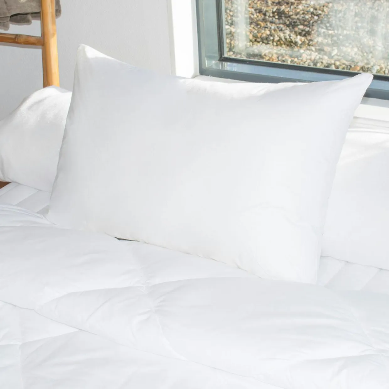 Lot de 2 oreillers rectangulaires (45 x 70 cm) Moelleux Anti-acariens Blanc