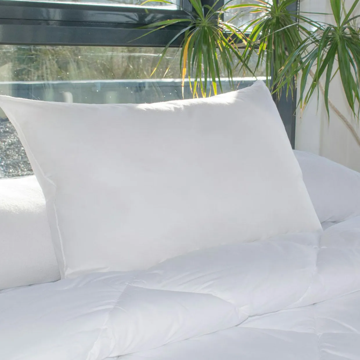 Lot de 2 oreillers rectangulaires (45 x 70 cm) Moelleux Anti-acariens Blanc