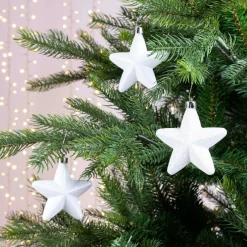 Lot de 6 étoiles de Noël à suspendre (H7 cm) Alpine Blanc