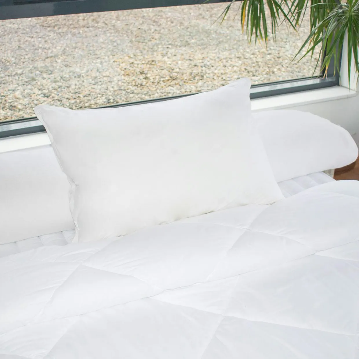 Oreiller rectangulaire ajustable (50 x 70 cm) Mémoire de forme Blanc
