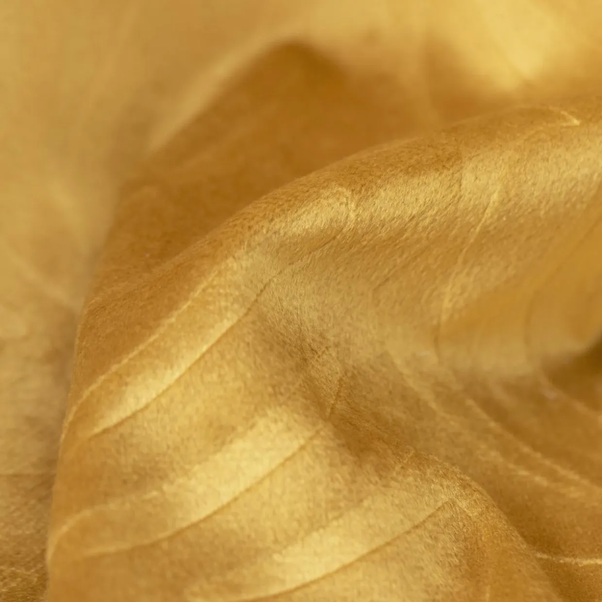 Rideau obscurcissant velours (180 x 260 cm) Fern Jaune ocre