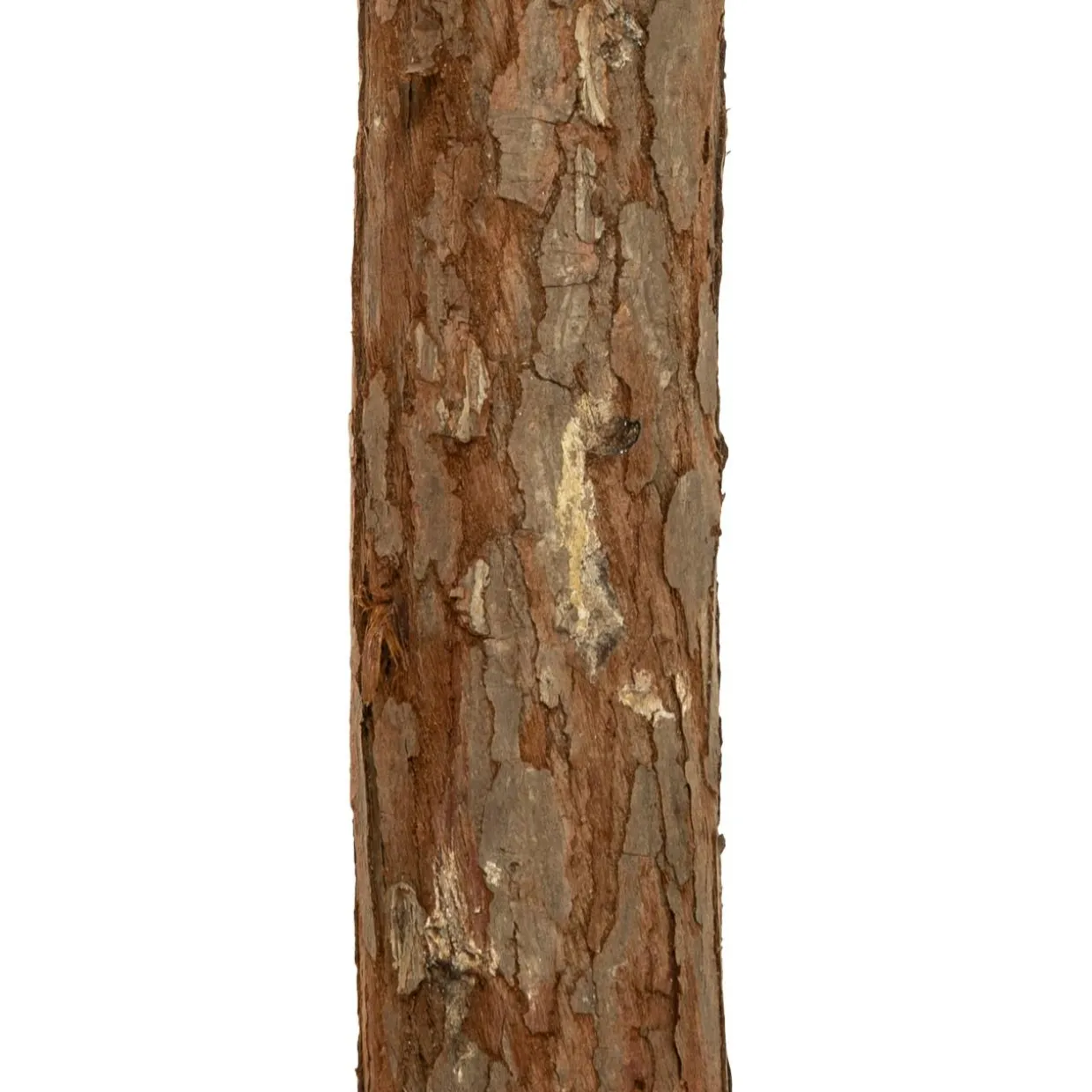 Sapin artificiel de Noël (H150 cm) Nordstar Vert enneigé