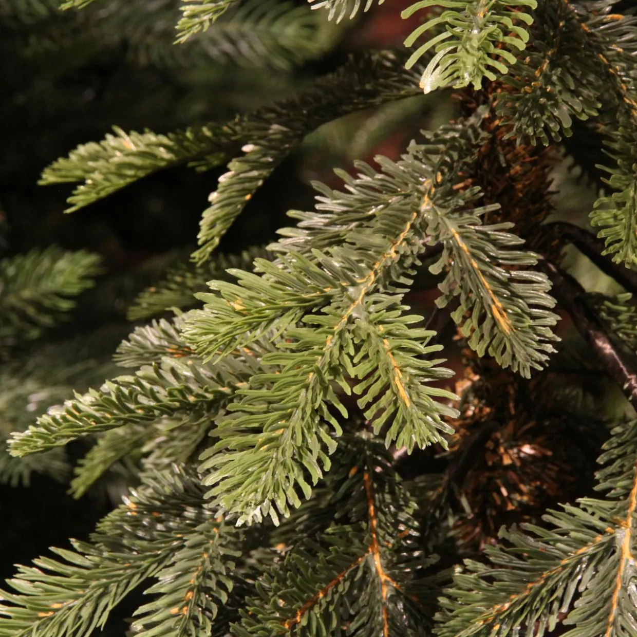 Sapin artificiel de Noël (H120 cm) Sierra Vert sapin