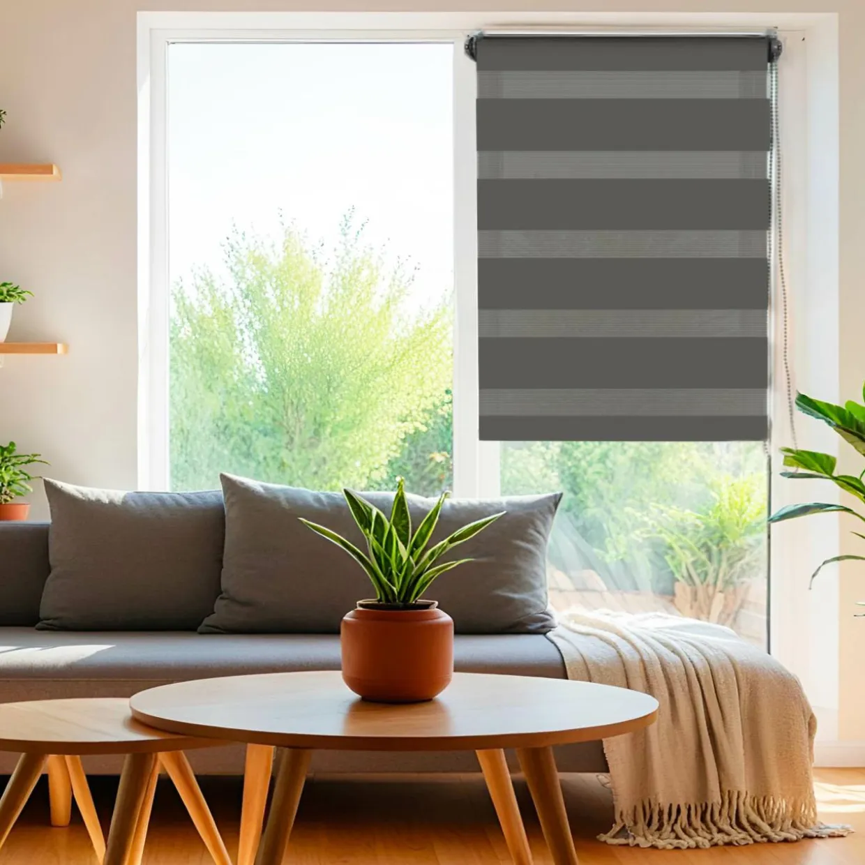 Store enrouleur Jour/Nuit (90 x 180 cm) Gris Anthracite