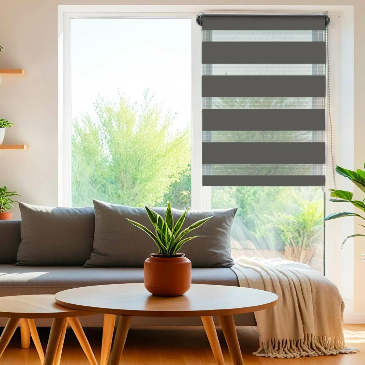 Store enrouleur Jour/Nuit (60 x 180 cm) Gris anthracite
