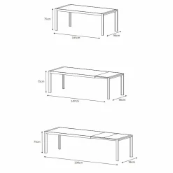 Table de jardin extensible en aluminium 12 places (195/300 x 96 cm) Amalfi Gris anthracite