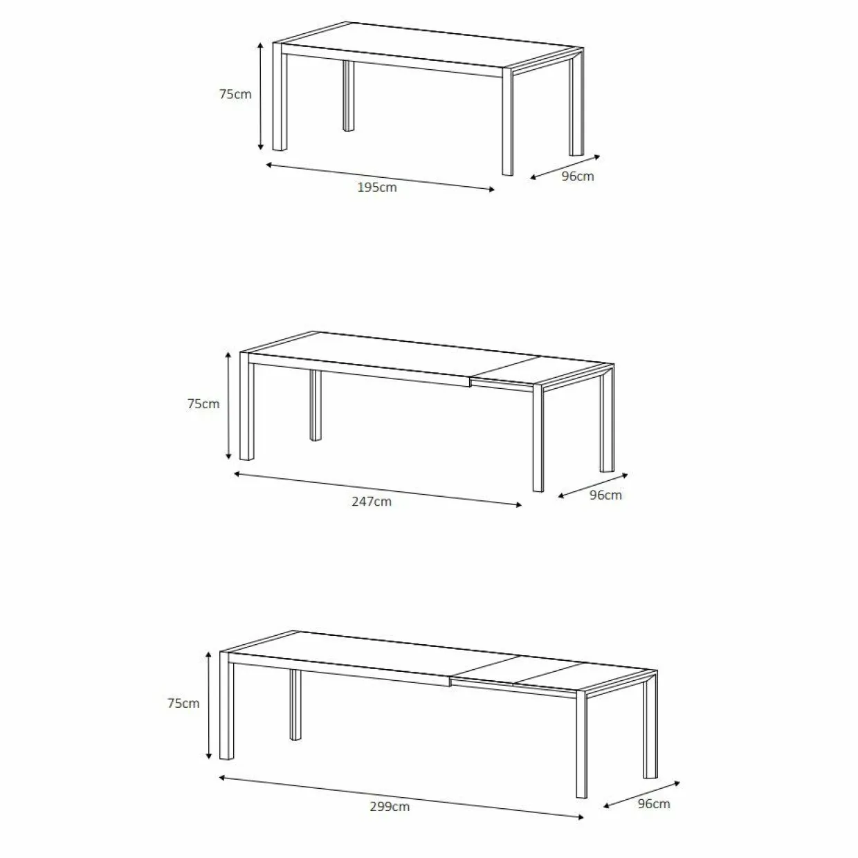 Table de jardin extensible en aluminium 12 places (195/300 x 96 cm) Amalfi Gris anthracite