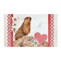 Tapis antidérapant (45 x 75 cm) Beaufort Multicolore