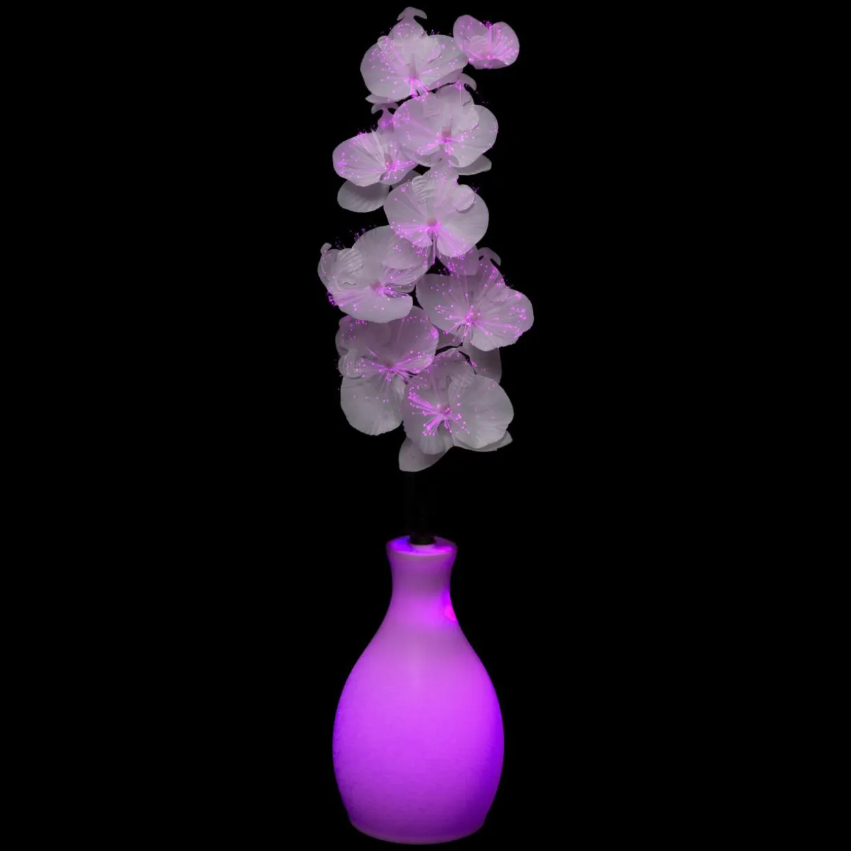 Vase orchidée lumineux à piles multicolore